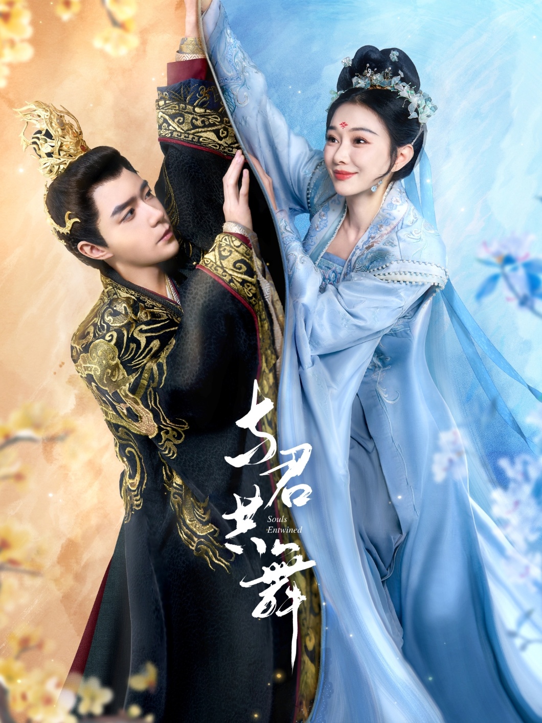 与君共舞